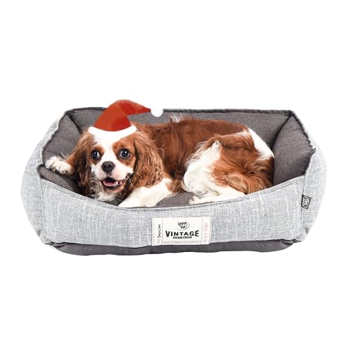 FluffyDream Hundebett für kleine Hunde, superweiches Haustierbett, geeignet für Hunde bis zu 13,6 kg, 61 x 50 cm, Grau FluffyDream Hundebett für kleine Hunde, superweiches Haustierbett, geeignet für Hunde bis zu 13,6 kg, 61 x 50 cm, Grau von FluffyDream