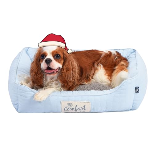 FluffyDream Hundebett für kleine Hunde, superweiches Haustierbett, geeignet für Hunde bis zu 13,6 kg, 61 x 50 cm, Hellblau FluffyDream Hundebett für kleine Hunde, superweiches Haustierbett, geeignet für Hunde bis zu 13,6 kg, 61 x 50 cm, Hellblau von FluffyDream