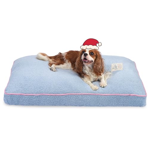FluffyDream Hundebett für mittelgroße Hunde, superweiche Haustierbettmatte, geeignet für Hunde bis zu 29,5 kg, 91,4 x 68,9 cm, Hellblau FluffyDream Hundebett für mittelgroße Hunde, superweiche Haustierbettmatte, geeignet für Hunde bis zu 29,5 kg, 91,4 x 68,9 cm, Hellblau von FluffyDream