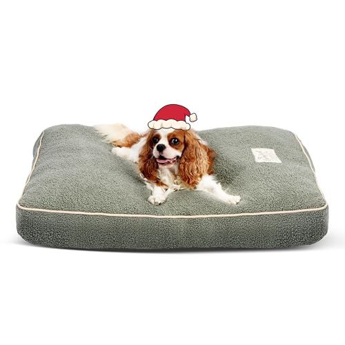 FluffyDream Hundebett für mittelgroße Hunde, superweiche Haustierbettmatte, geeignet für Hunde bis zu 29,5 kg, 91,4 x 68,9 cm, Salbeigrün FluffyDream Hundebett für mittelgroße Hunde, superweiche Haustierbettmatte, geeignet für Hunde bis zu 29,5 kg, 91,4 x 68,9 cm, Salbeigrün von FluffyDream