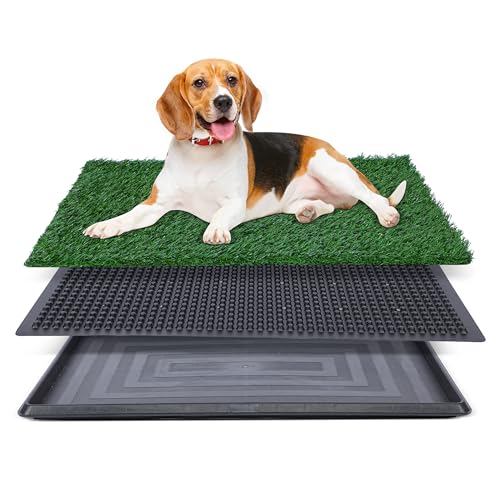 Kunstrasen für Hundetöpfchen – 50,8 x 63,5 cm, Starke Saugfähigkeit, Hundegrasunterlage mit Tablett, Hundetöpfchentrainingspad, Hundetoilette mit Gras (groß) von FluffyDream