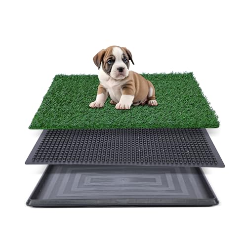 Kunstrasen für Hundetöpfchen – 50,8 x 63,5 cm, Starke Saugfähigkeit, Hundegrasunterlage mit Tablett, Hundetöpfchentrainingspad, Hundetoilette mit Gras (klein) von FluffyDream