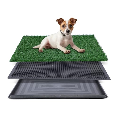 Kunstrasen für Hundetöpfchen – 50,8 x 63,5 cm, Starke Saugfähigkeit, Hundegrasunterlage mit Tablett, Hundetöpfchentrainingspad, Hundetoilette mit Gras (mittel) von FluffyDream