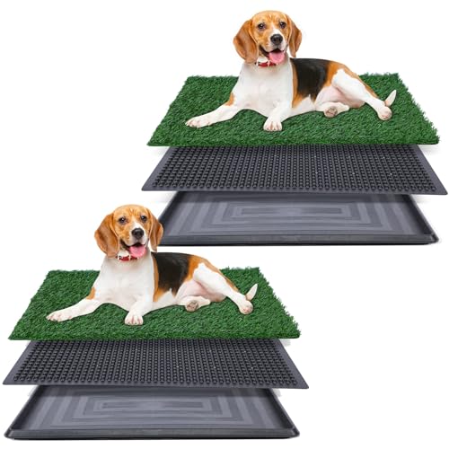 Kunstrasen für Hundetöpfchen – 50,8 x 76,2 cm, Starke Saugfähigkeit, Hundegrasunterlage mit Tablett, Hundetöpfchentrainingspad, Hundetoilette mit Gras, 2 Stück Kunstrasen für Hundetöpfchen – 50,8 x 76,2 cm, Starke Saugfähigkeit, Hundegrasunterlage mit Tablett, Hundetöpfchentrainingspad, Hundetoilette mit Gras, 2 Stück von FluffyDream