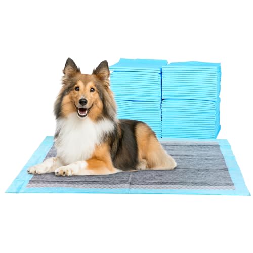FluffyDream Trainingsunterlage für Hunde und Welpen - Black Charcoal Odor Neutralizing , 100-Stück 56X56cm Puppy Pads, Auslaufsicheres 6-Lagiges Design mit Schnell Trocknender Oberfläche FluffyDream Trainingsunterlage für Hunde und Welpen - Black Charcoal Odor Neutralizing , 100-Stück 56X56cm Puppy Pads, Auslaufsicheres 6-Lagiges Design mit Schnell Trocknender Oberfläche von FluffyDream