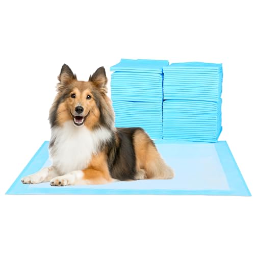 ScratchMe Super Absorbent Waterproof Dog and Puppy Pet Training Pad, Housebreaking Pet Pad, 100-Count, M, 60x60cm von FluffyDream