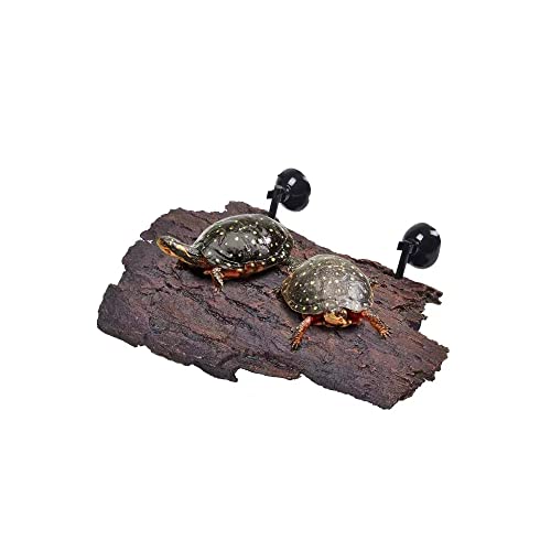 Flushbay Schildkröte schwimmende Sonnenplattform Aquarium Schildkröte Dekorationen künstliche Rinde Schildkröte Kletterplattform mit Saugnäpfen Ruhe Terrasse für Terrapins Aspides Salamander von Flushbay