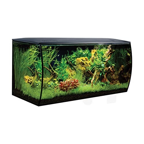 Fluval Flex Aquarium 123L, Süßwasser Aquarium, schwarz von Fluval