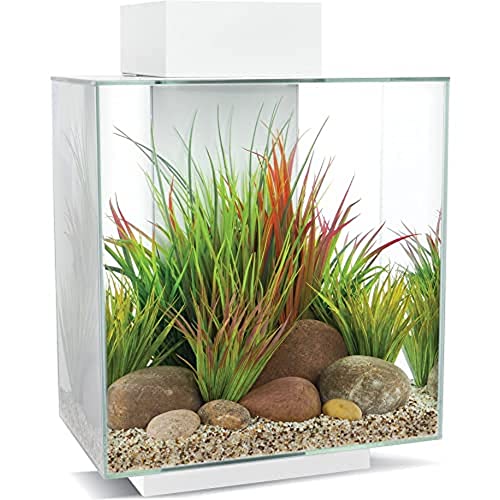 Fluval Edge 2.0 Aquarium, 46L, weiß, 1 Stück (1er Pack) von Fluval