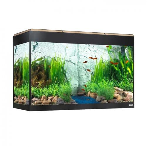 Fluval Aquarium Roma Bluetooth LED Beleuchtung 125 Liter Eiche Fluval Aquarium Roma Bluetooth LED Beleuchtung 125 Liter Eiche von Fluval