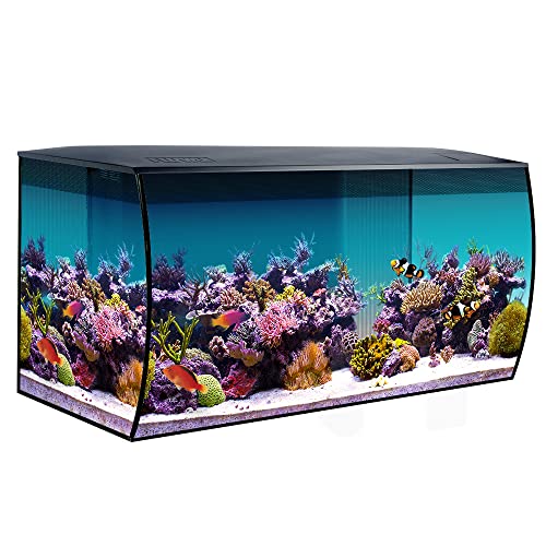 Fluval Flex Marine Aquarium 123L, Meerwasser Aquarium, schwarz, 1 Stück von Fluval