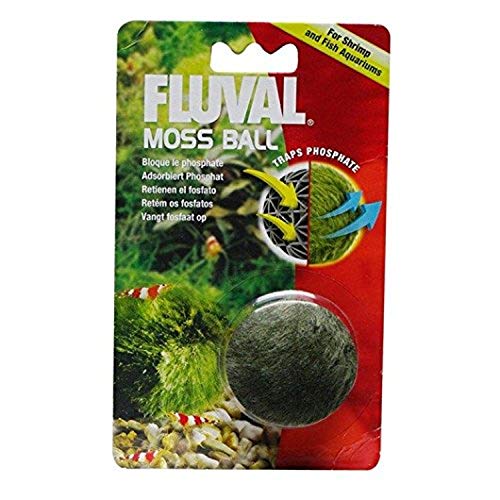 Fluval Moos Ball, zur Reduzierung von organischen Stoffen, für Aquarien, behandelt 30L bis 60L von Fluval