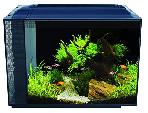 Fluval Spec XV Aquarium, mit 60L Fassungsvermögen, in schwarz, 1 Stück (1er Pack) von Fluval