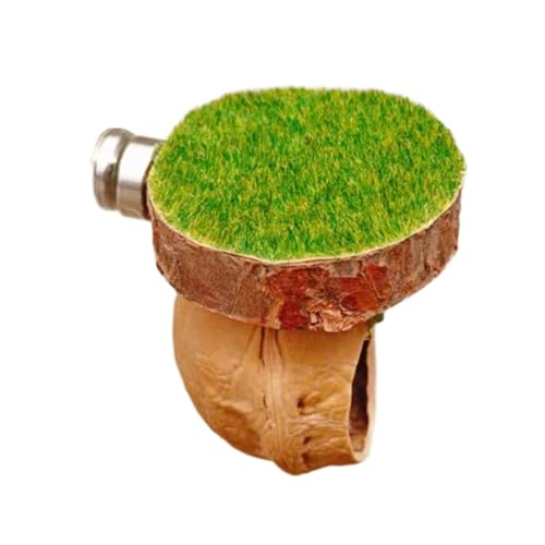 Fluxioxtna Natural Jumping Spiders Habitat Wood Hassouts Höhle Mit Belüftetem Design Für Reptilien Und Haustier Schutz Für Natürliche Holzspinnen Lebensraum Fluxioxtna Natural Jumping Spiders Habitat Wood Hassouts Höhle Mit Belüftetem Design Für Reptilien Und Haustier Schutz Für Natürliche Holzspinnen Lebensraum von Fluxioxtna