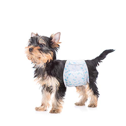 Flying Paws Rüdenwindel,60 Stück XS Einweg-Hundewindeln für Rüden,Super Saugfähig Hundewindeln für extra kleine Rüden,Passform 15-33 cm von Flying Paws