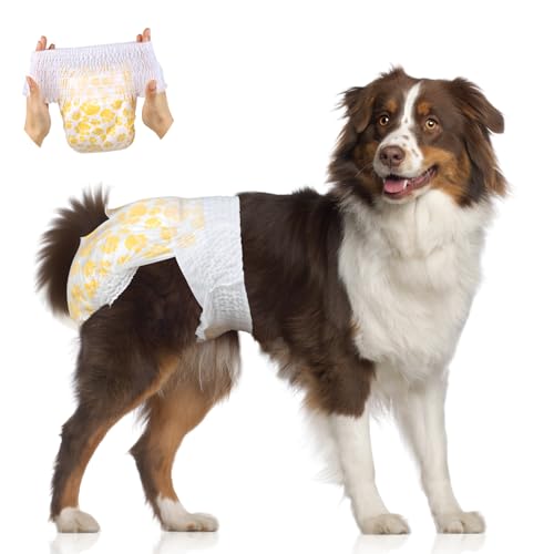 Flying Paws Hunde Windeln, 30 Stück Anziehbare Einweg Hundewindeln für Hündinnen, Rüdenwindeln mit 360° elastischem Bund (XL, stück, 15) von Flying Paws
