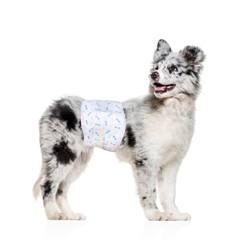 Flying Paws M Hundewindeln (46-63cm) 10 er Reiseset, Einweg-Windeln für Rüden Auslaufsichere Hundewindeln mit Feuchtigkeitsindikator von Flying Paws