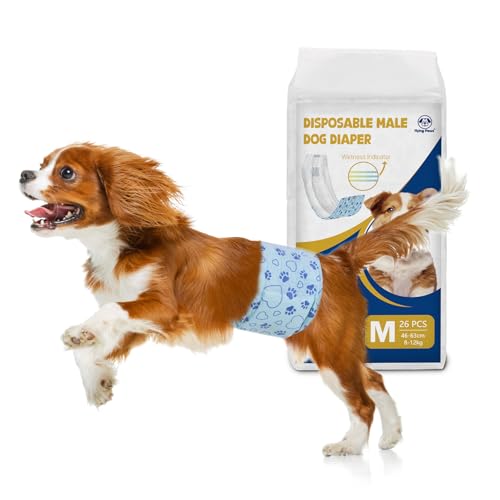 Flying Paws Rüdenwindel 26 Stück M, Einweg-Windeln mit Nässeindikator, Super Saugfähige & Auslaufsichere Bauchbinden für Inkontinenz Hundewindeln für Rüden Flying Paws Rüdenwindel 26 Stück M, Einweg-Windeln mit Nässeindikator, Super Saugfähige & Auslaufsichere Bauchbinden für Inkontinenz Hundewindeln für Rüden von Flying Paws