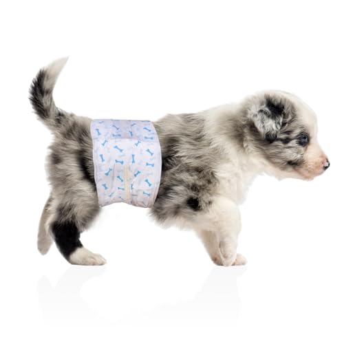 Flying Paws XS Hundewindeln (14-33cm) 10 er Reiseset, Einweg-Windeln für Rüden Auslaufsichere Hundewindeln mit Feuchtigkeitsindikator von Flying Paws