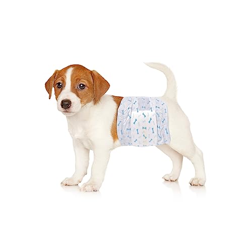 Flying Paws XS Hundewindeln (14-33cm) 40 er Sparpaket, Einweg-Windeln für Rüden Auslaufsichere Hundewindeln mit Feuchtigkeitsindikator von Flying Paws