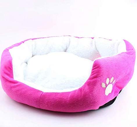 Flyinghedwig Katzenbett für Haustiere in Wabenstruktur in Wabenform rund oder Oval für Katzen und Hunde, klein von Flyinghedwig