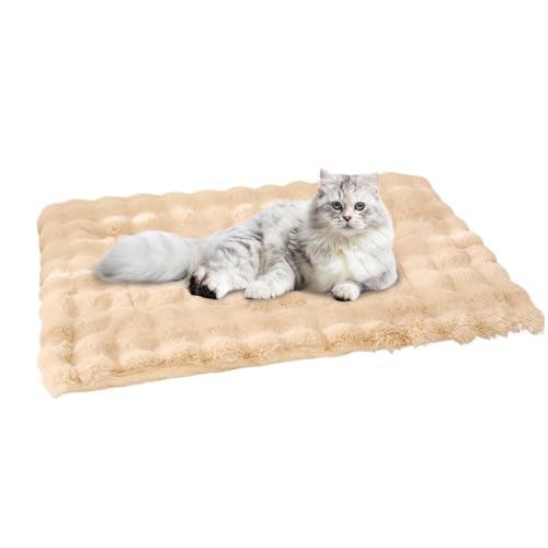 Fmzrbnih Hundebett-Matte | weiche Unterlage zum Schlafen von Hunden, Winterbetten, Haustier-, Katzen-, Bodenpolster, weiche Schlafunterlage für Hunde, Kätzchen, weiche Schlafmatte für Schlafzimmer, Fmzrbnih Hundebett-Matte | weiche Unterlage zum Schlafen von Hunden, Winterbetten, Haustier-, Katzen-, Bodenpolster, weiche Schlafunterlage für Hunde, Kätzchen, weiche Schlafmatte für Schlafzimmer, von Fmzrbnih