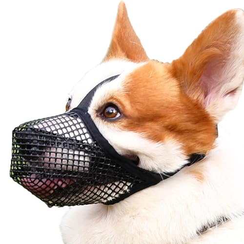 Hunde Mundschutz - Pflegegnaut Mündung, Atmungsaktive Hundemündung | Einfach Zu Bedienende Hunde Nicht -Biss -Mündung, Verstellbare Mundgeräte, Weiche Netzhund -Mündung Für Große Rassenhunde Für Drauß Hunde Mundschutz - Pflegegnaut Mündung, Atmungsaktive Hundemündung | Einfach Zu Bedienende Hunde Nicht -Biss -Mündung, Verstellbare Mundgeräte, Weiche Netzhund -Mündung Für Große Rassenhunde Für Drauß von Fmzrbnih