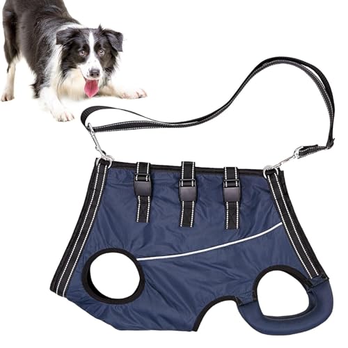 Hundeaufzugsgurt - Verletzte Haustierstütze, Einstellbarer Beingurt | Bequeme Senior Dogs Mobility Aid, Duraable Griffweste, Weiche Gepolsterte Erholungsgürtel, Wanderassistentenausrüstung Für Große R Hundeaufzugsgurt - Verletzte Haustierstütze, Einstellbarer Beingurt | Bequeme Senior Dogs Mobility Aid, Duraable Griffweste, Weiche Gepolsterte Erholungsgürtel, Wanderassistentenausrüstung Für Große R von Fmzrbnih