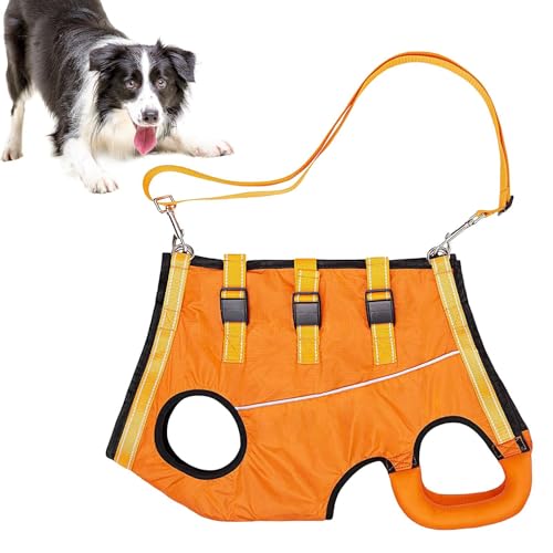 Hundeaufzugsgurt - Verletzte Haustierstütze, Einstellbarer Beingurt | Bequeme Senior Dogs Mobility Aid, Duraable Griffweste, Weiche Gepolsterte Erholungsgürtel, Wanderassistentenausrüstung Für Große R Hundeaufzugsgurt - Verletzte Haustierstütze, Einstellbarer Beingurt | Bequeme Senior Dogs Mobility Aid, Duraable Griffweste, Weiche Gepolsterte Erholungsgürtel, Wanderassistentenausrüstung Für Große R von Fmzrbnih