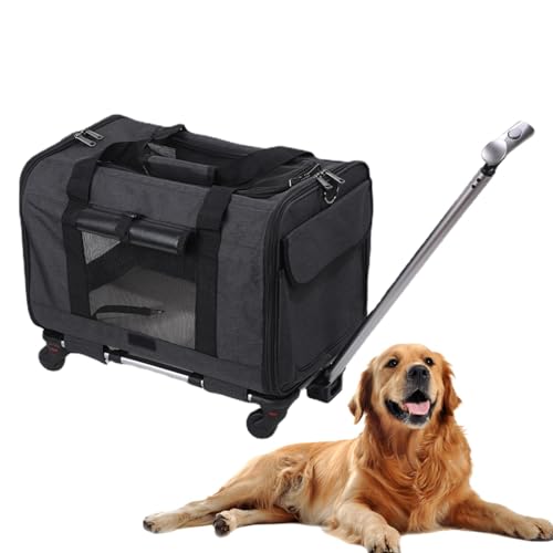 Hundereisetasche – Weiche Rollende Katzentrage, Haustiertrage-Reisetasche | Mehrzweck-Transportbox Für Kleine Katzen Und Hunde Mit Sicherheitsreißverschlüssen, Von Fluggesellschaften Zugelassene Trans Hundereisetasche – Weiche Rollende Katzentrage, Haustiertrage-Reisetasche | Mehrzweck-Transportbox Für Kleine Katzen Und Hunde Mit Sicherheitsreißverschlüssen, Von Fluggesellschaften Zugelassene Trans von Fmzrbnih