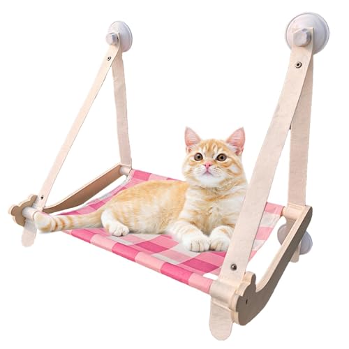 Katzenfensterbett - Fenstermontage Katzenmöbel, Katzenfensterbett Mount | Stabile Faltbare Kätzchen -Sitzregale, Saugnäpfe Atmungsaktive Katzen -Barsch -Haustiervorräte Für Innenkatzen, 22.05 X 20,87 Katzenfensterbett - Fenstermontage Katzenmöbel, Katzenfensterbett Mount | Stabile Faltbare Kätzchen -Sitzregale, Saugnäpfe Atmungsaktive Katzen -Barsch -Haustiervorräte Für Innenkatzen, 22.05 X 20,87 von Fmzrbnih