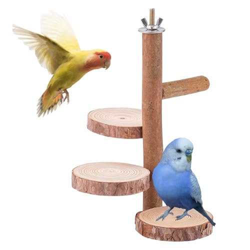 Vogel-Sitzstangen | Käfigzubehör Vogelzweig Papageienständer Spielzeug – Sittichständer AST sicher für Lovebirds Finken Sittiche Vogel-Sitzstangen | Käfigzubehör Vogelzweig Papageienständer Spielzeug – Sittichständer AST sicher für Lovebirds Finken Sittiche von Fmzrbnih