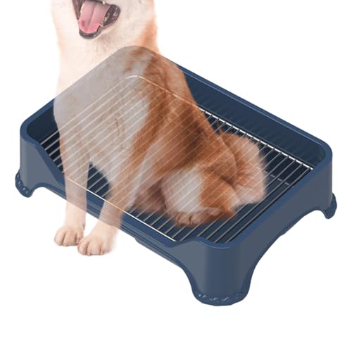 Welpen-Toilettentablett, Toiletten-Toilettentablett für Welpen | Edelstahlgeflecht Hundetoilettentraining Hundetoilette - Anti-Stepping Pee Pad Tragbares Töpfchentablett mit für Welpen und kleine Hund Welpen-Toilettentablett, Toiletten-Toilettentablett für Welpen | Edelstahlgeflecht Hundetoilettentraining Hundetoilette - Anti-Stepping Pee Pad Tragbares Töpfchentablett mit für Welpen und kleine Hund von Fmzrbnih