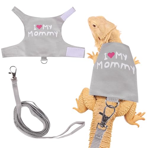 Fnaobai Bartdrachen-Geschirr und Leine, verstellbar, für Reptilien, Eidechsen, Seil, Weste, Kleidung, Starter-Set, Zubehör für Kleintiere, Spaziergänge im Freien, Grau von Fnaobai
