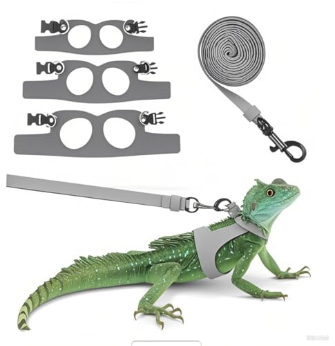 Fnaobai Bartdrachengeschirr-Set, 3 Größen, verstellbar, Eidechsen, Training, Spazierengehen, Lederweste, ausbruchsicheres Traktionsseil für Outdoor, kleine Reptilien, Tiere, Eichhörnchen (Grau) von Fnaobai