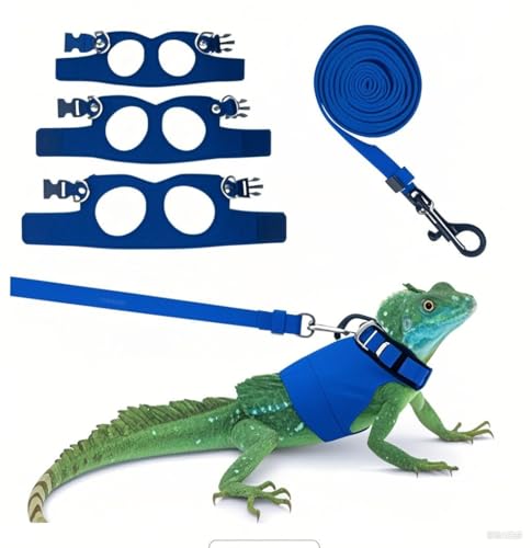 Fnaobai Bartdrachengeschirr-Set, 3 Größen, verstellbar, Eidechsen, Training, Spazierengehen, Lederweste, ausbruchsicheres Zugseil für Outdoor, kleine Reptilien, Tiere, Eichhörnchen (Blau) von Fnaobai