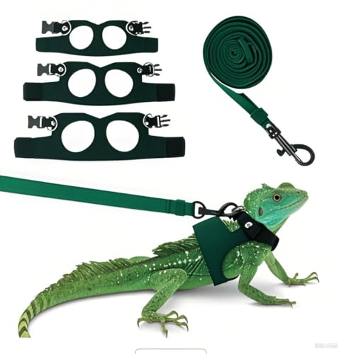 Fnaobai Bartdrachengeschirr-Set, 3 Größen, verstellbar, Eidechsen, Training, Spazierengehen, Lederweste, ausbruchsicheres Zugseil für Outdoor, kleine Reptilien, Tiere, Eichhörnchen (Grün) von Fnaobai