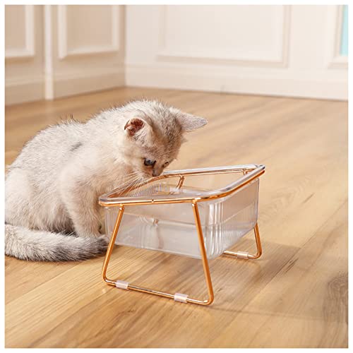 Futternapf Katze Doppelkatze-Schüssel transparente Hundeschüssel mit vertikaler Haustierwasserschale Hundekatze-Lebensmittel-Haustier-Fütterungsschale Geneigter futternapf Katze (Size : Single) von FnnEmg