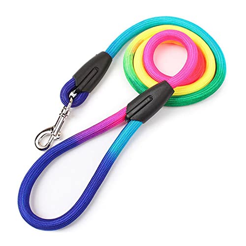 Seil Haustier Hundezubehör Durable Nylon Regenbogen 1,2 mt Haustier Hundeleine Walking Training Leine Katzen Hunde Kabelbaum Kragen Leashes Strap Gürtel Seil Haustierleine Mit (Color : Rainbow Colors Seil Haustier Hundezubehör Durable Nylon Regenbogen 1,2 mt Haustier Hundeleine Walking Training Leine Katzen Hunde Kabelbaum Kragen Leashes Strap Gürtel Seil Haustierleine Mit (Color : Rainbow Colors von FnnEmg