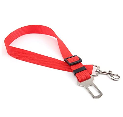 Seil Haustier Sicherheitsgurt Harness Leine Clip Pet Hund Car Belt Security Halten Sie Ihren Hund sicher Haustierleine Mit (Color : Red, Size : One Size) von FnnEmg