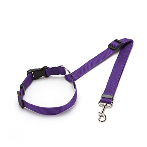 Seil Haustier Universal Praktische Hundekatze Haustier Sicherheitsgurt Verstellbarer Auto Sicherheitsgurt Kabelbaum Leine Reise Clip Strap Blei Pet Auto Sicherheitsgurt Haustierleine Mit (Size : Purp von FnnEmg