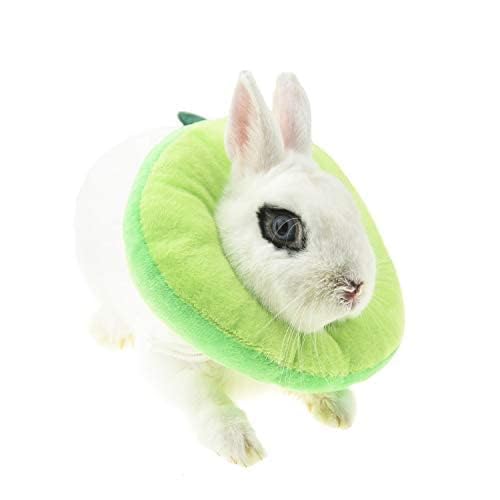 Elizabeth Kaninchenschutz-Kegel für nach Operationen, Halskrause für kleine Tiere, Hasen-Toast-Avocado-Kostüm (Größe L, Grün) von FoOhy