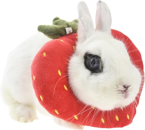 FoOhy abbit Schutzkegel für nach Operationen, Elizabeth Halskrause für kleine Tiere, Bunny Toast Avocado Kostüm, klein, 1 Stück (rot) von FoOhy