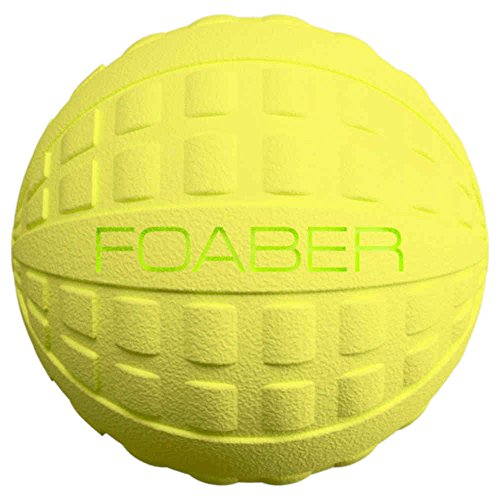 Foaber Bounce Hundespielzeug, mittelgroß, Blau Foaber Bounce Hundespielzeug, mittelgroß, Blau von Foaber