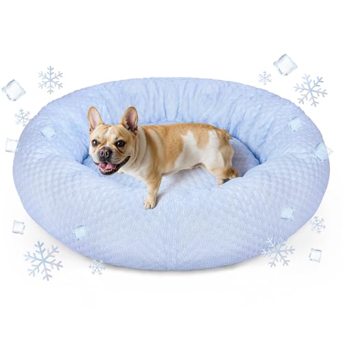 Donut Dog Bed for Small & Medium Dogs - Cooling Pet Bed with Non-Slip Bottom, Summer Comfort Dog Beds for Puppies, Washable & Portable Egg Tart Shape (M) von Foamio