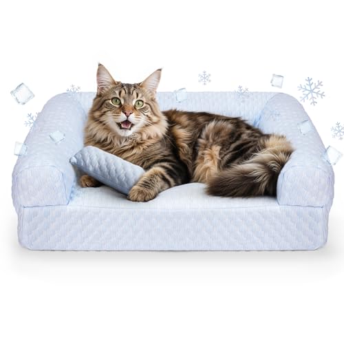 Foamio Runde Katzenbetten für Indoor-Katzen, Katzensofa, Sofa für kleine Hunde von Foamio