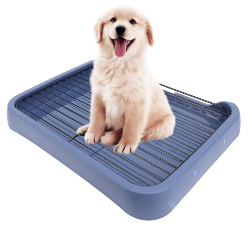 Hundetöpfchen-Tablett, 45,7 X 35,6 cm, Tragbare Hundetoilette für den Innenbereich mit Abnehmbarem Netz, Waschbarer, Auslaufsicherer Hundetöpfchen-Trainings-PIPI-Pad-Halter Hundetöpfchen-Tablett, 45,7 X 35,6 cm, Tragbare Hundetoilette für den Innenbereich mit Abnehmbarem Netz, Waschbarer, Auslaufsicherer Hundetöpfchen-Trainings-PIPI-Pad-Halter von Focket