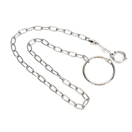Große, Langlebige Edelstahl-Fußkette für Papageientraining und Freie Bewegung, Geeignet für Golden Sun Monk Keck, Alexander Dove, Grey, Small Sun und Andere Große Papageien von Fockety