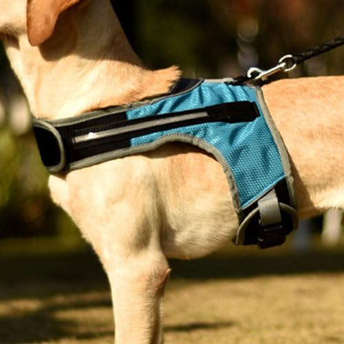 Haustiergeschirr, Verstellbarer D-Ring, Weiches, Atmungsaktives Netz-Hundegeschirr, Reflektierend, mit LED-Licht für Mittelgroße Hunde (M, Brustumfang 47–57 cm) von Fockety