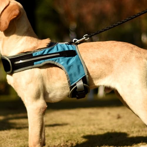 Haustiergeschirr, Verstellbarer D-Ring, Weiches, Atmungsaktives Netz-Hundegeschirr, Reflektierend, mit LED-Licht für Mittelgroße Hunde (S, Brustumfang 40–50 cm) von Fockety